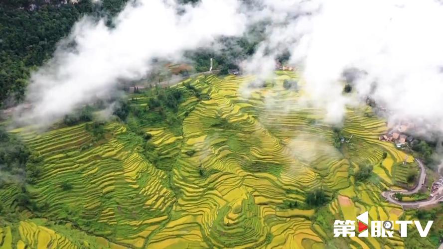 推进城乡融合乡村振兴示范区建设
